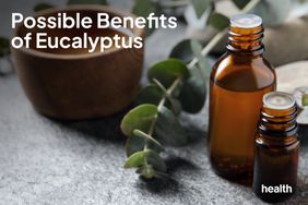 Possible Benefits of Eucalyptus