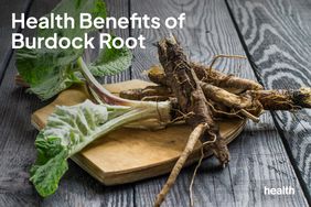 Health Benefits of Burdock Root
