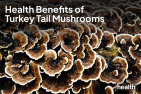 Health Benefits of Turkey Tail Mushrooms