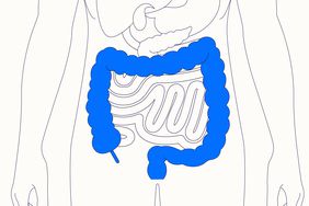 Illustration of the Colon