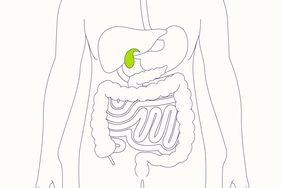 illustration of the gallbladder