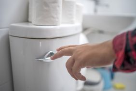 A person flushes the toilet