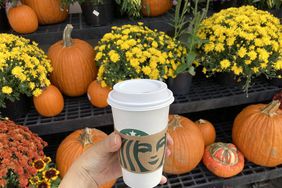 A reporter's Starbucks Pumpkin Spice Latte, held in front of pumpkins and mums.