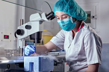 The process of artificial insemination in IVF clinic