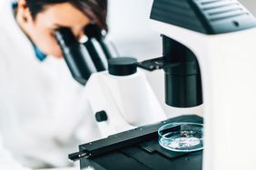 Scientists studying microplastics.