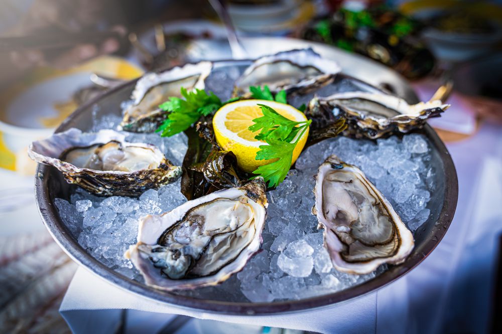 oysters in bowl of ice