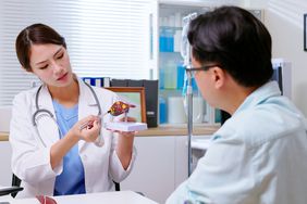 attractive young brunette ponytail female asian doctor wear white coat explaining liver model to male patient at clinic