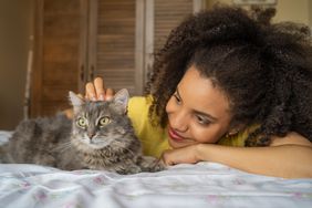 Person lovingly pets their cat on the bed. 