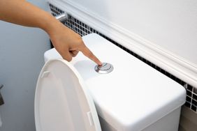Hand flush toilet