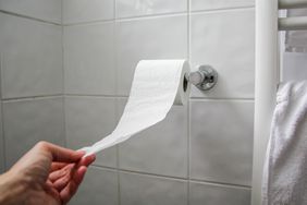 A person pulls a roll of toilet paper from the wall