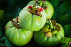 Fresh garcinia cambogia on wooden background. 