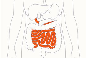 A diagram of the digestive system with the small intestine highlighted
