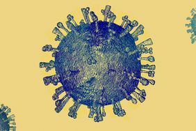 Two different COVID-19 Viruses variants combining to make a larger one