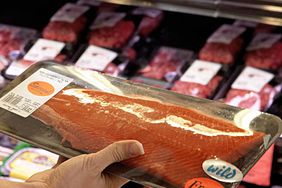 what-salmon-buy