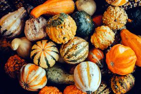 Directly above shot of an assortment of multi-coloured pumpkins in various shapes.