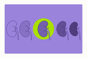 Overview Illustration - Health-stage-3-kidney-disease