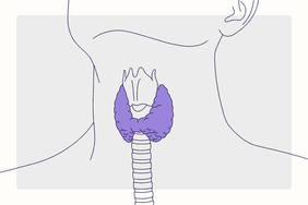 Health Overview Illustration - Thyroid Disease