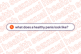 what does a healthy penis look like